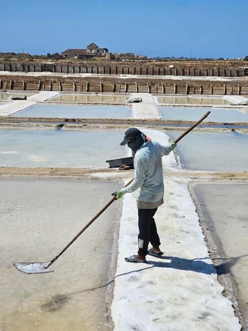 Tavira City & Olive Factory - Good To Know