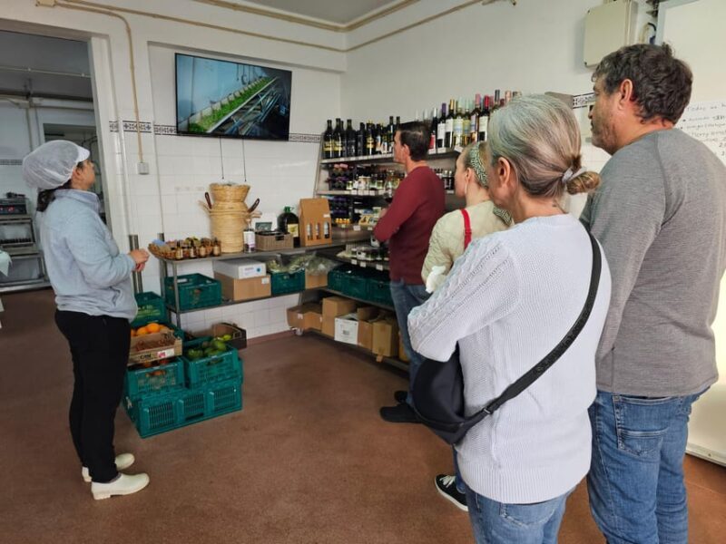 Tavira City & Olive Factory - The Olive Factory Experience and Tasting