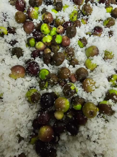 Tavira City & Olive Factory - Practical Details and Value