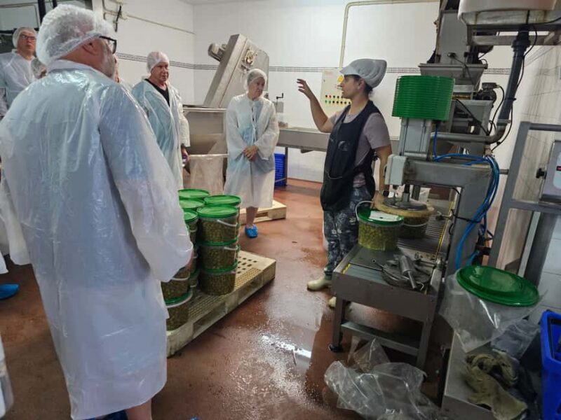 Tavira City & Olive Factory - The Sum Up: Why Choose This Experience?