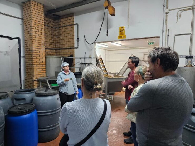 Tavira City & Olive Factory Tuktuk Tour - Good To Know