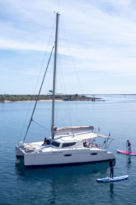 Tavira: Half Day Tour - Experience Highlights