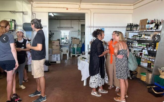 Tavira Olive Experience: Factory Tour & Tasting - Practical Information: Join at Hélder Madeira, Show Voucher, Verified Booking, Location in Tavira, Discover More Activities