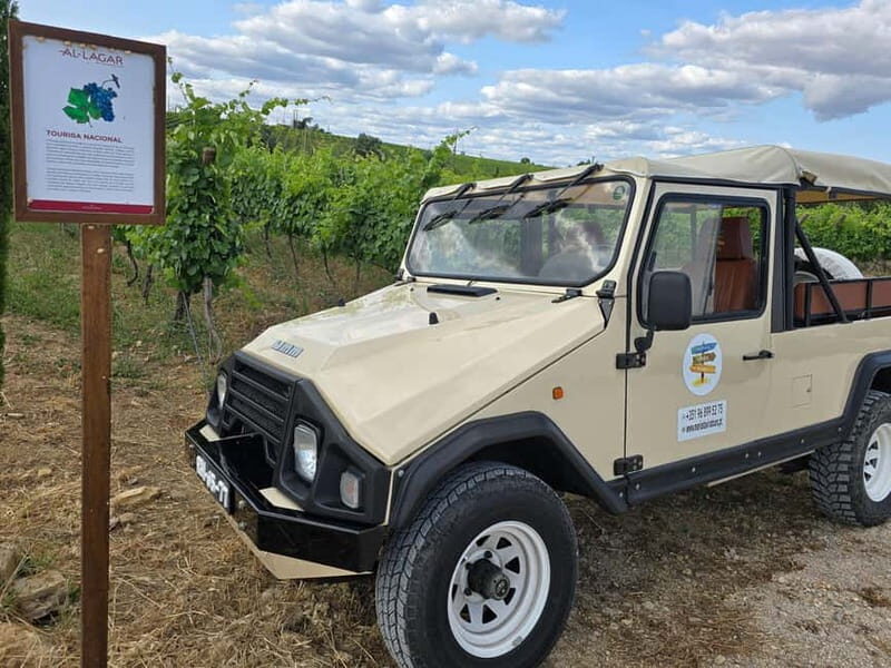 Tavira, Santa Luzia & Wine Tasting - Good To Know