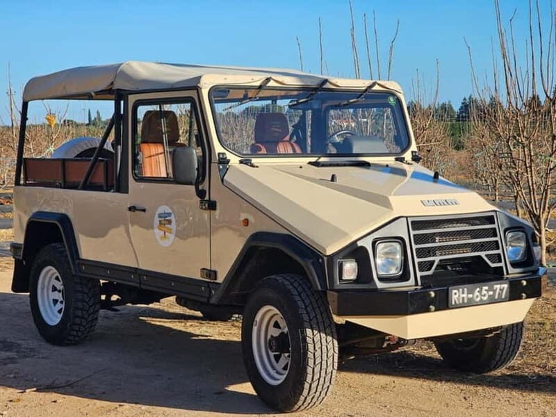 Tavira, Santa Luzia & Wine Tasting - A Detailed Look at the Tour Experience