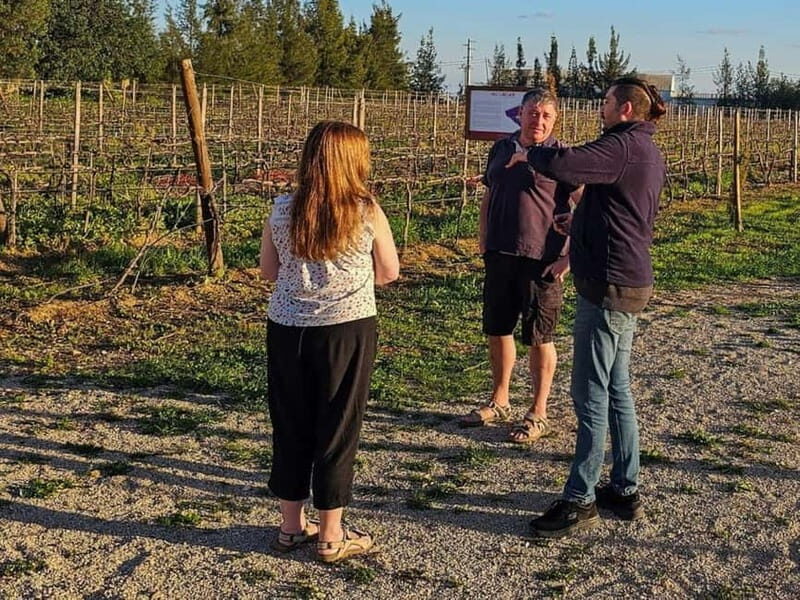 Tavira, Santa Luzia & Wine Tasting - FAQs