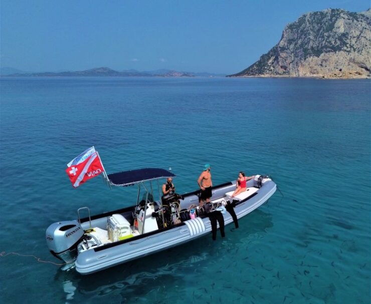 Tavolara and Molara Private Snorkeling and Diving Tour - Booking Information
