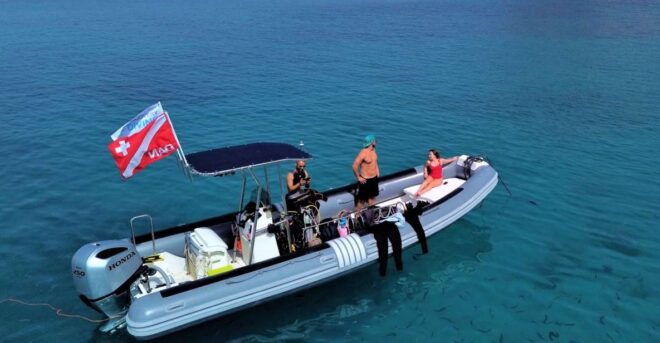 Tavolara and Molara Private Snorkeling and Diving Tour - Itinerary