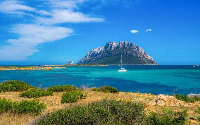 Tavolara and Molara: Rubber Boat Tour With Marine Biologist - The Sum Up