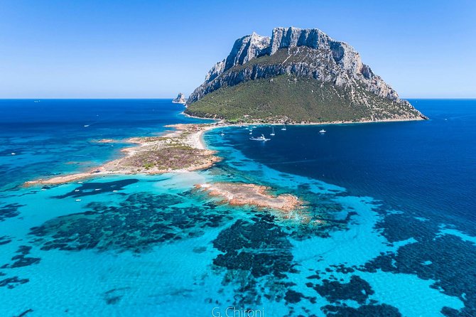 Tavolara Boat Tour and Snorkeling - Customer Reviews and Feedback