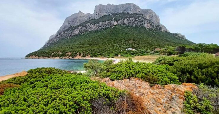 Tavolara: Mini Tour of Archipelago From San Teodoro - Booking Details