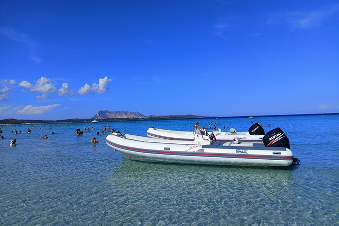 Tavolara : Mini Tour of the Archipelago From San Teodoro - Tour Itinerary