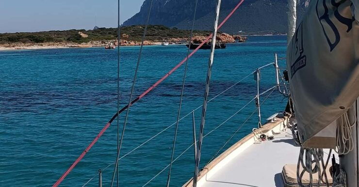Tavolara & Molara Sailing - One Day Cruise - Good To Know
