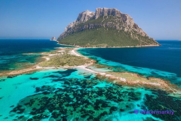 Tavolara Protected Marine Area Boat Tour - Tour Duration and Booking Details