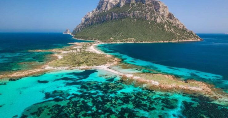 Tavolara Protected Marine Area Boat Tour - Meeting Point Information