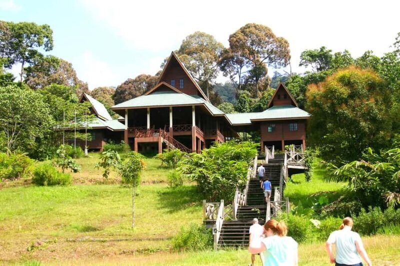 Tawau: 3D2N Maliau Basin The Base - Lost World Expedition - Evening and Night: A Full Spectrum of Wildlife Encounters