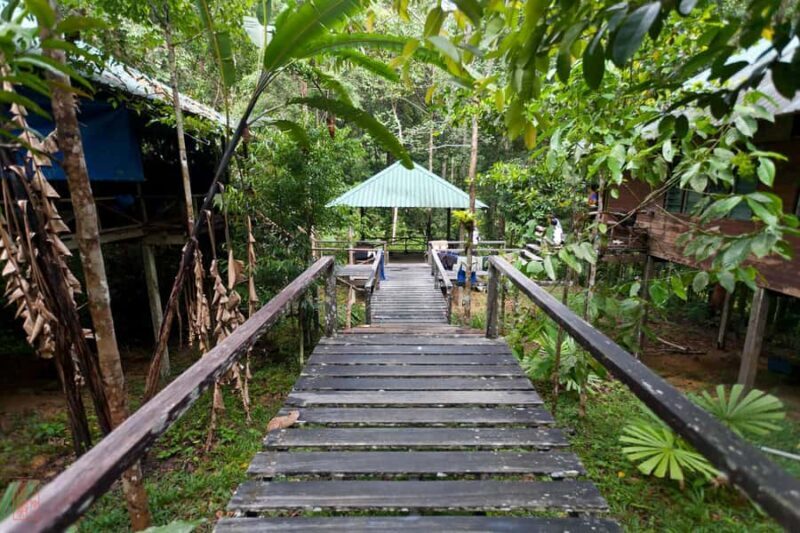 Tawau: 3D2N Maliau Basin The Base - Lost World Expedition - The Value of This Expedition