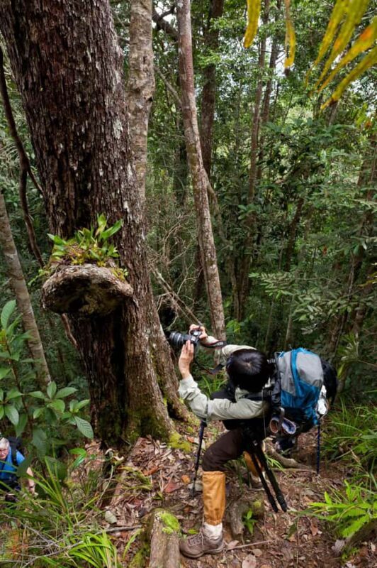 Tawau: 3D2N Maliau Basin The Base - Lost World Expedition - An Authentic Jungle Adventure in Borneo’s Last Wilderness