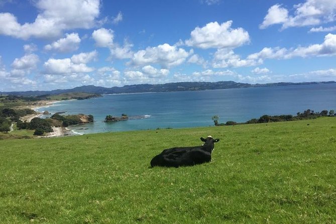 TāWharanui- Get Away From It All and Experience New Zealand at Its Best - Private Tour - Pricing and Availability
