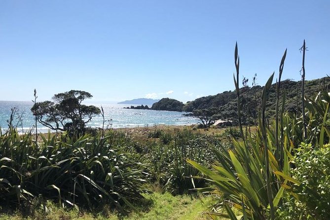 TāWharanui- Get Away From It All and Experience New Zealand at Its Best - Private Tour - Terms and Conditions