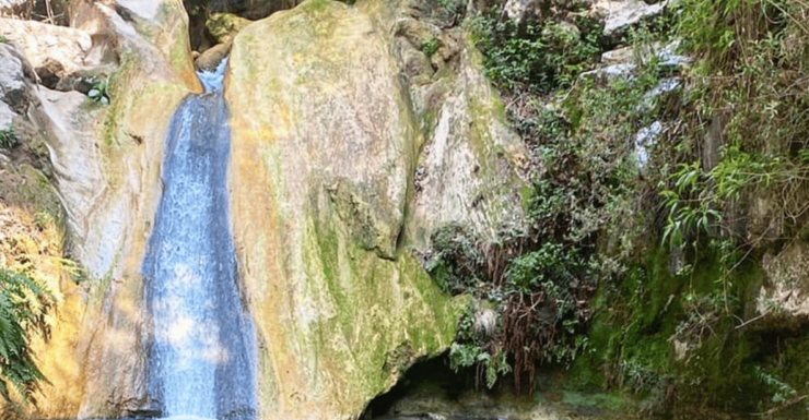 Taxco: Adventure Through the Blue Pools (Ameyalli) - Highlights of the Blue Pools Exploration