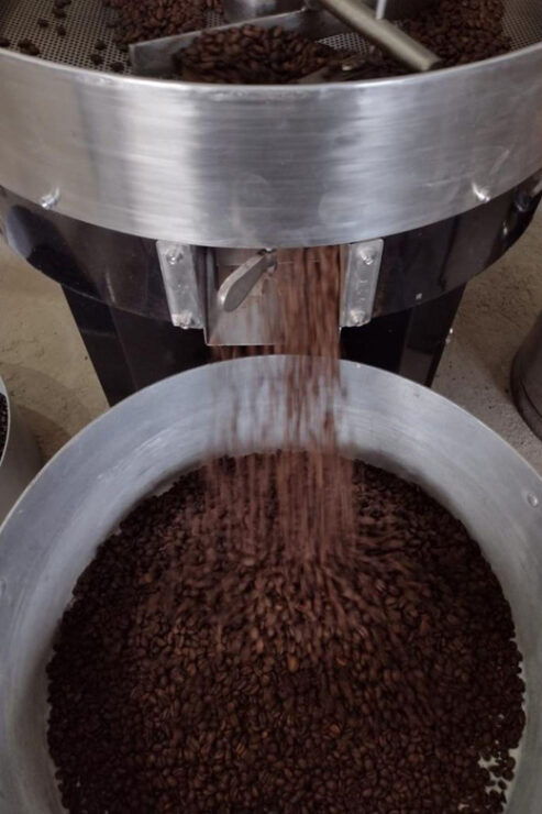 Taxco: Organic Coffee Garden Experience - Tour Highlights