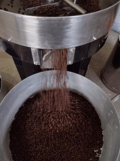 Taxco: Organic Coffee Garden Experience - Local Organic Food