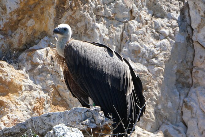 Taxi Boat Kormat - Details: Private Boat Tour From Punat