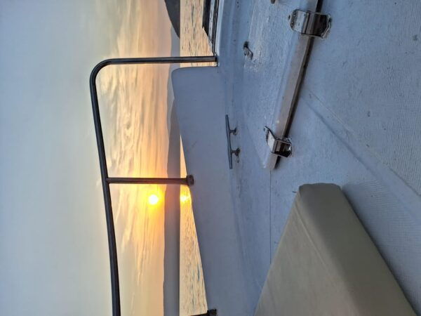 Taxi Boat Krk - Private Tours - Customer Reviews