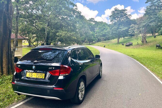 Taxi from Sigiriya or Dambulla to Kandy - Who Is This Tour Best For?