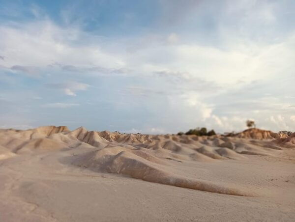 Taxi Services (8 Hours) Ful Day Tours - Contact and Support Information
