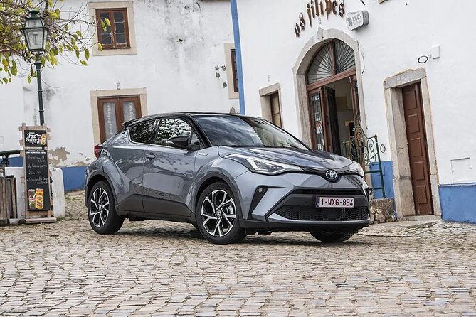 Taxi Transfer From Roissy Charles De Gaulle Airport to Paris - Inclusions and Services