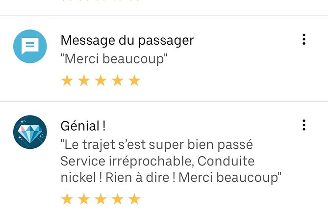 Taxi Transfer From Roissy Charles De Gaulle Airport to Paris - Private Transfer Experience