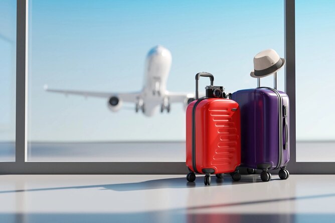 Taxi Transfer From Roissy Charles De Gaulle Airport to Paris - Airport Pickup Instructions