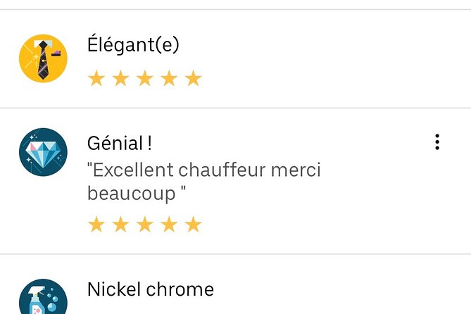 Taxi Transfer From Roissy Charles De Gaulle Airport to Paris - Tips for a Smooth Transfer