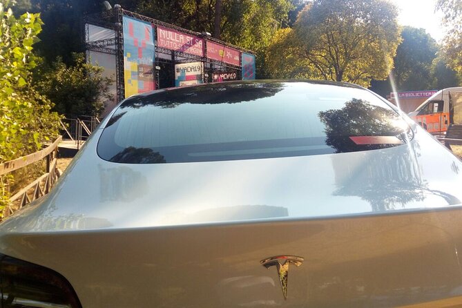 Taxi Transfer to Civitavecchia - Meeting and Pickup Information