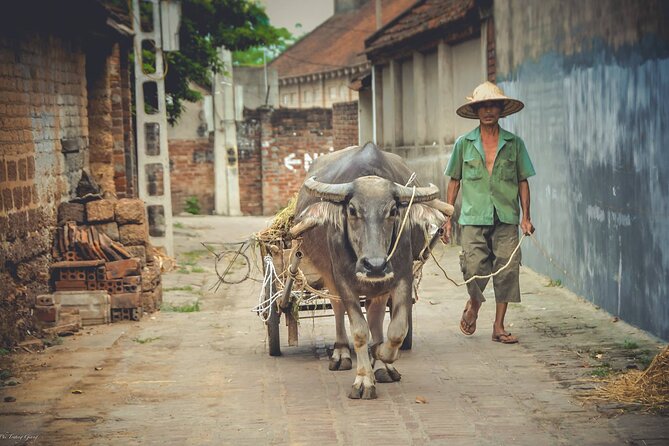 Tay Phuong Pagoda and Duong Lam Ancient Village With Biking - Visiting Mia Pagoda