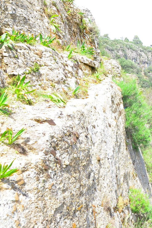 Tazi Canyon, Avatar Lands and Selge Ancient City Tour - Key Points
