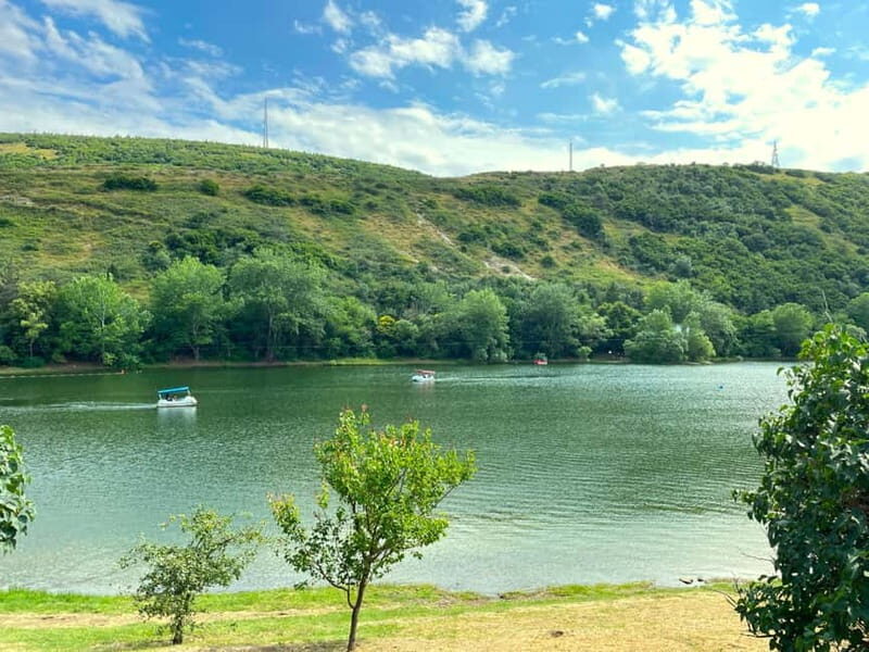 Tbilisi 2 Parks: Turtle Lake & Dedaena Park with Flea Market - Practical Details and Tips
