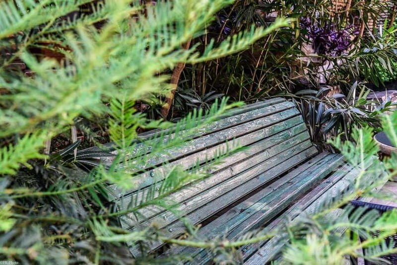 Tbilisi: 3-Day Stay with City Tour and Hidden Gems - Price and Value Analysis