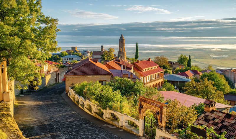 Tbilisi Bodbe & Manavi Full-Day Cultural Tour - Who should consider booking