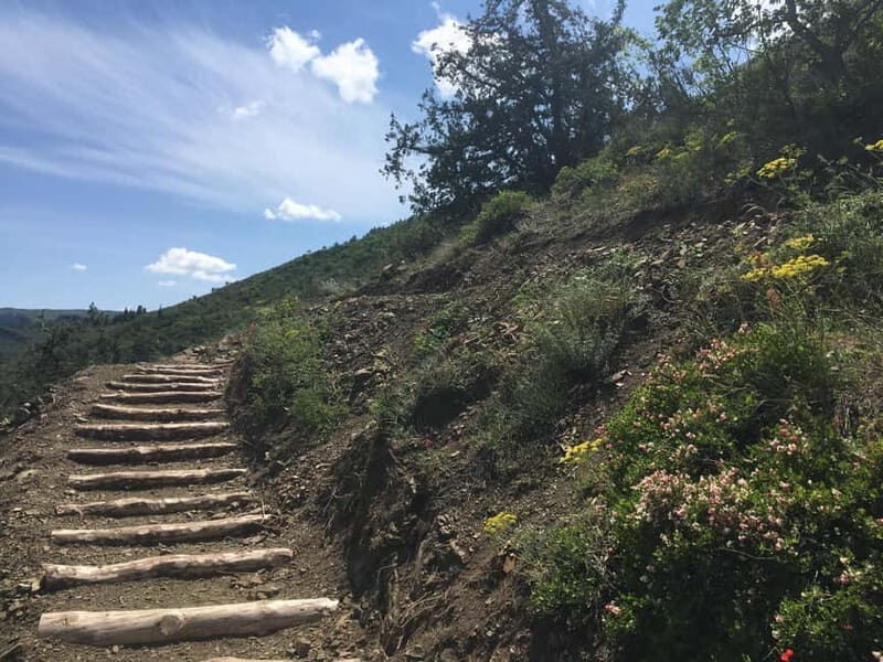 Tbilisi: Delightful Trail over the City - The Sum Up: Who Will Love This Tour?