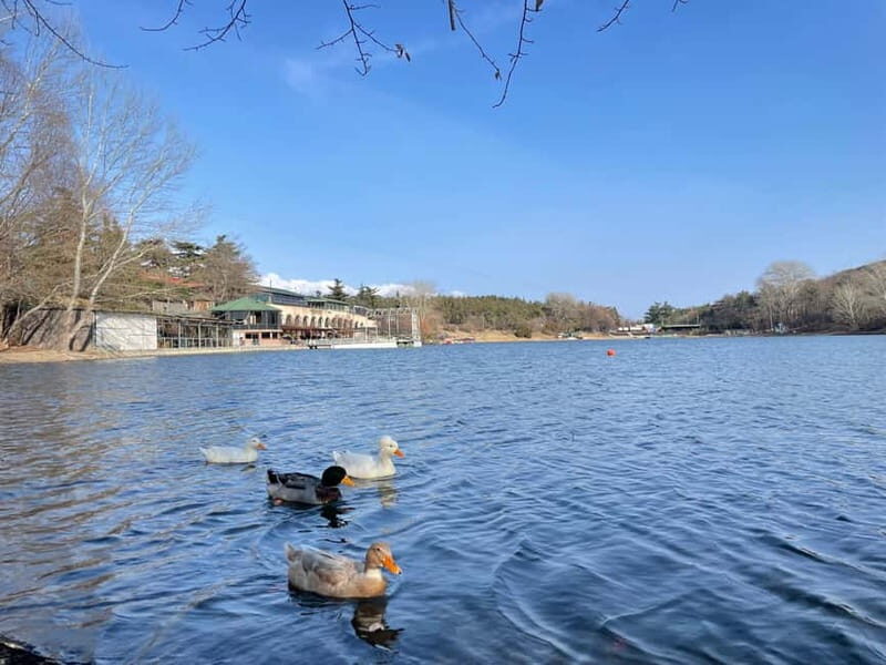Tbilisi: Elegance of Traditional Architecture & Turtle Lake - Good To Know