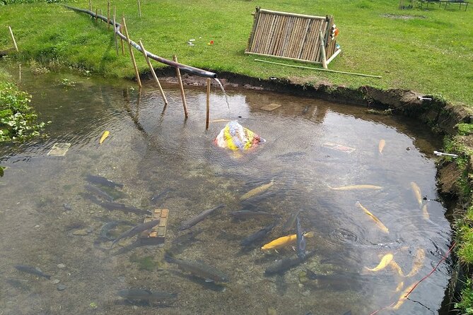 Tbilisi - Gudauri Private Transfer - The Sum Up