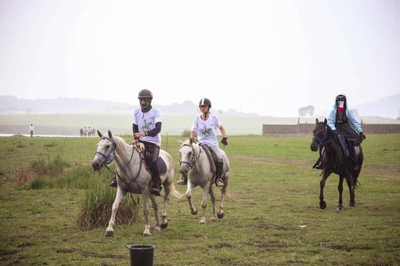 Tbilisi: Kakheti Horse Riding, Wine Tasting, and Cooking - Good To Know