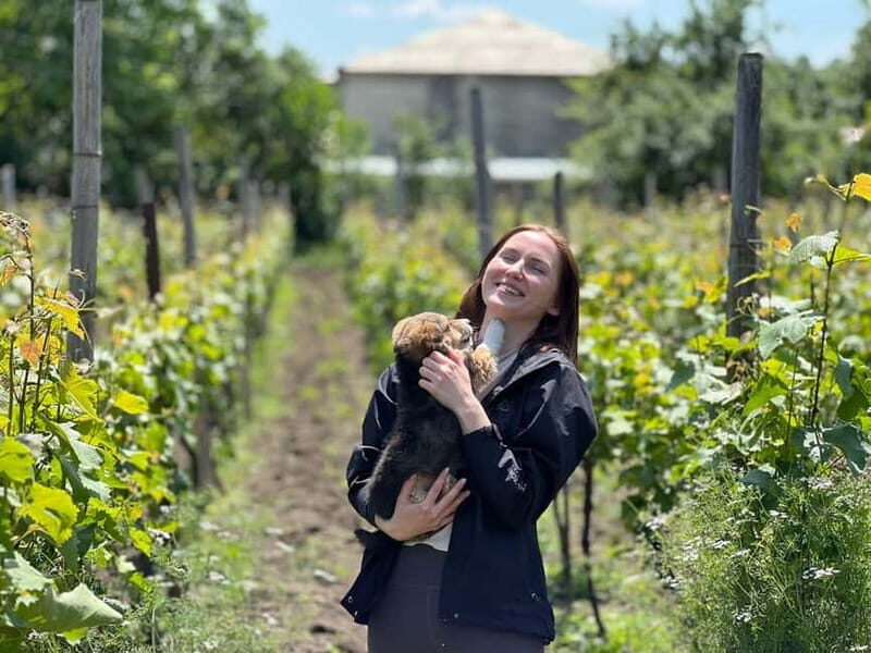 Tbilisi: Kakheti Private Wine Tour with Family Lunch - An In-Depth Look at the Tour Experience