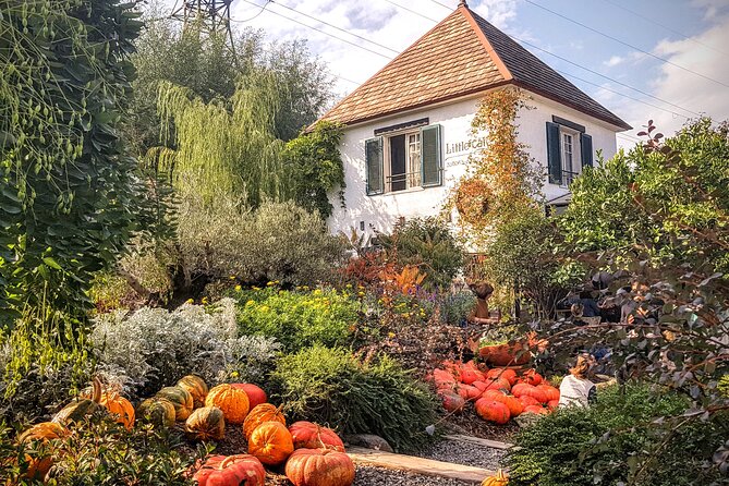 Tbilisi Lakes and Sightseeing Tour - Tour Highlights