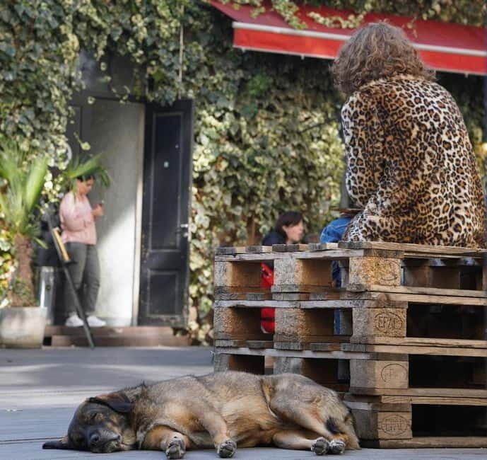 Tbilisi: Left Bank Alternative Street Food Tour with Drinks - Practical Tips for Your Tour