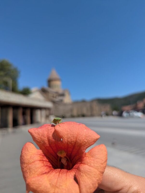 Tbilisi Mtskheta & Chronicles of Georgia Half-Day Tour with Winery Visit - Who should book this half-day trip?