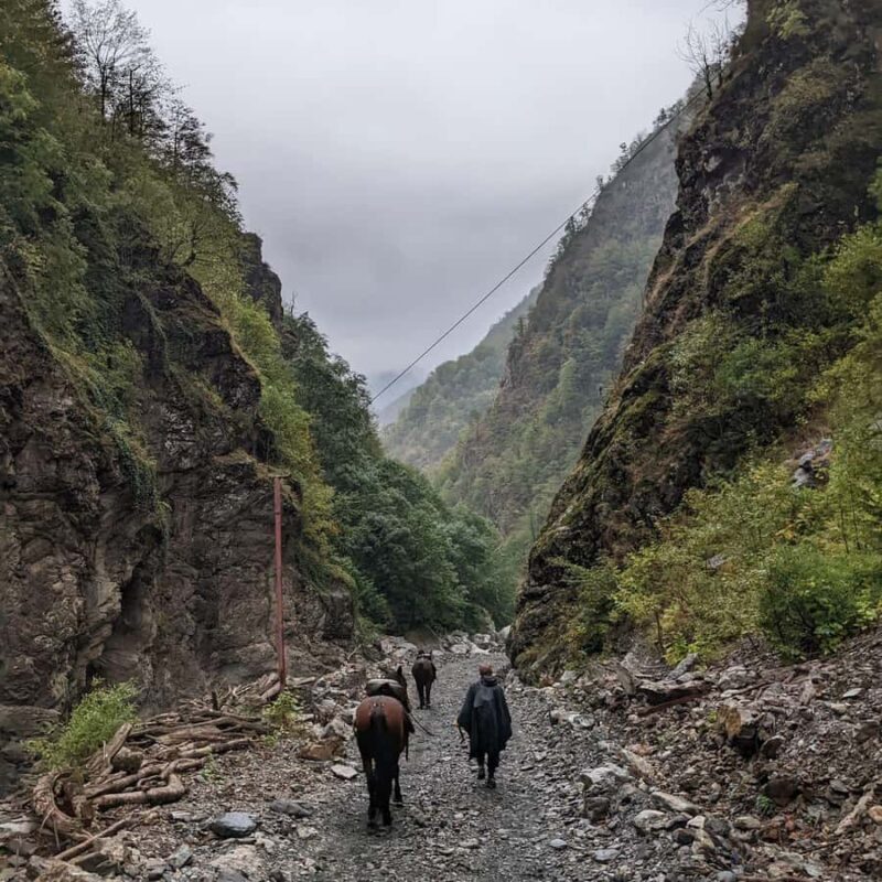 Tbilisi: Pankisi Gorge Horse Riding Tour with Dinner - Good To Know